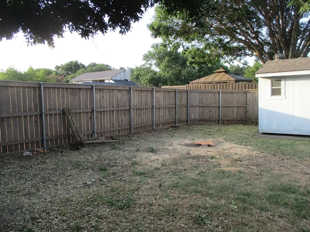 Cleared yard after professional tree removal in Muscatine